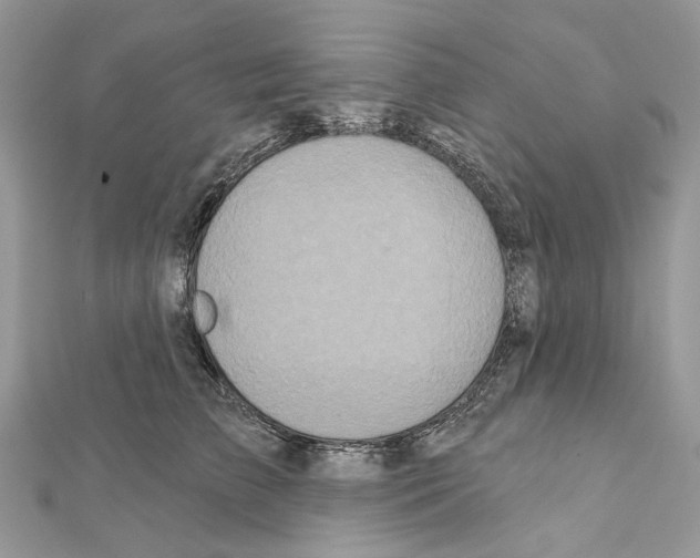 X0000111640709200908281157