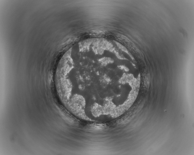 X0000111640711200908281157