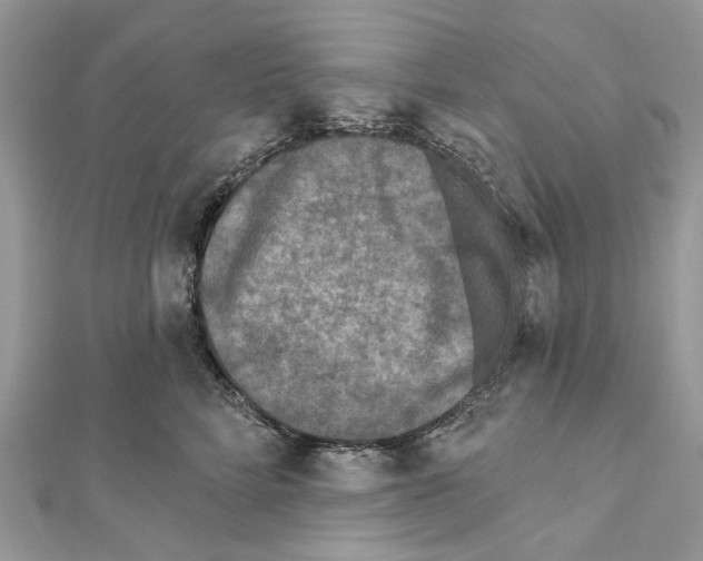 X0000111640712200908281157