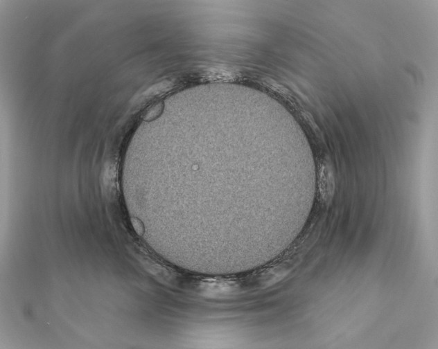 X0000111640714200908281157
