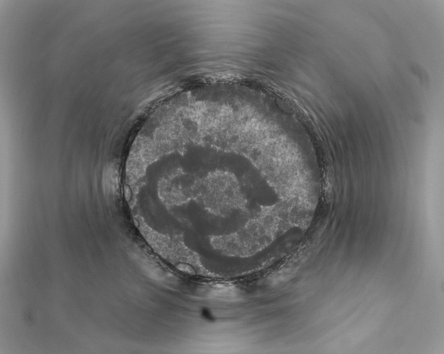 X0000111640715200908281157