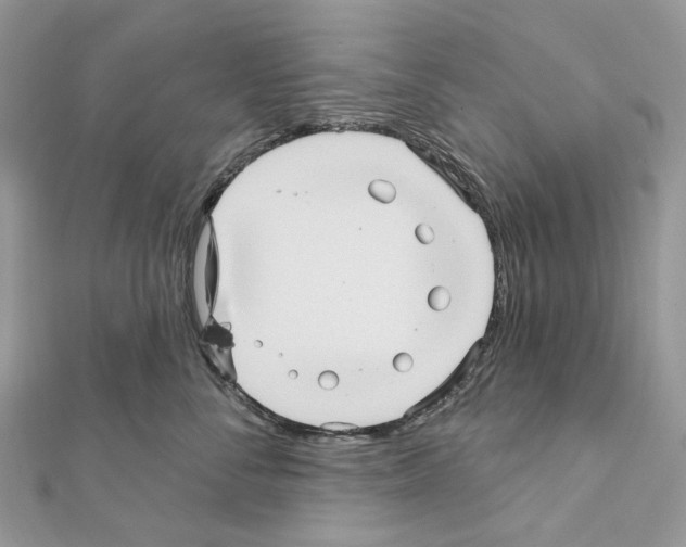 X0000111640716200908281157