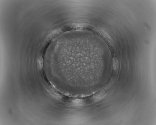 X0000111640718200908281157