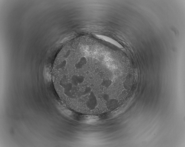 X0000111640719200908281157