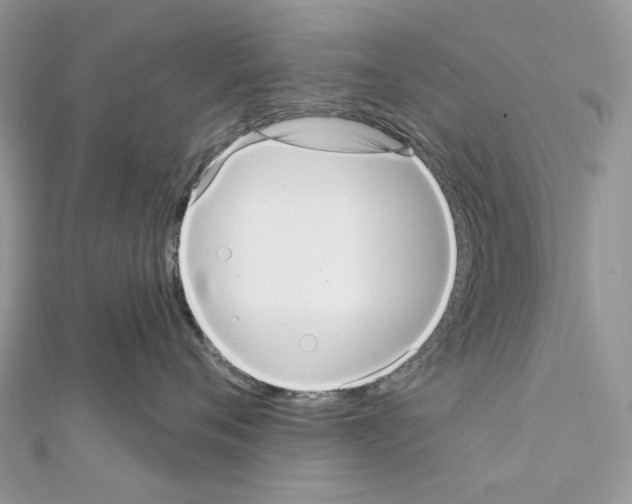 X0000111640720200908281157