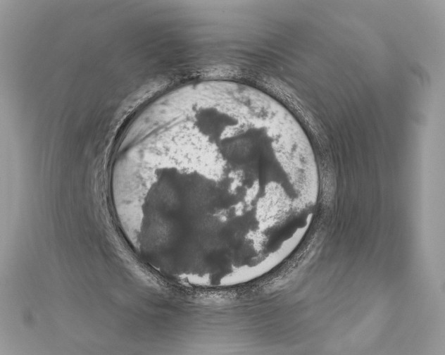 X0000111640721200908281156