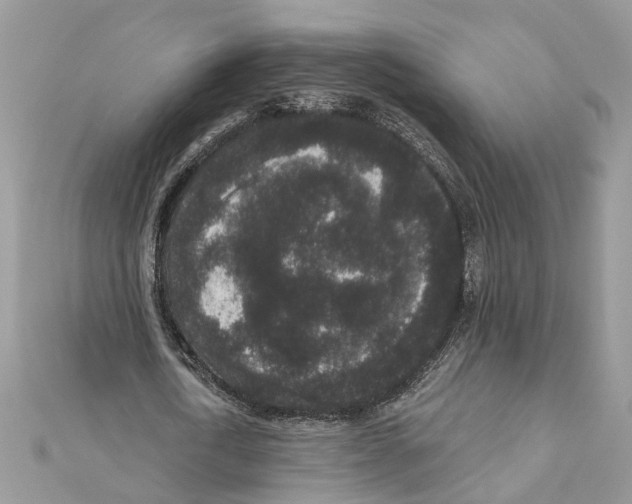 X0000111640722200908281156