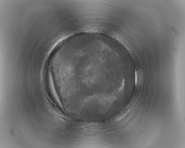 X0000111640723200908281156