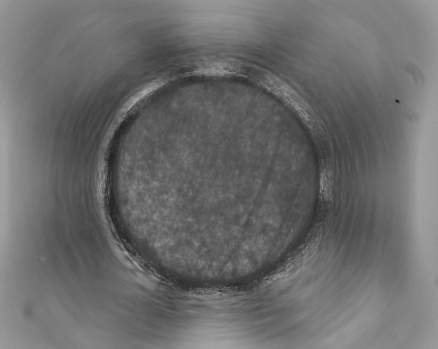 X0000111640724200908281156