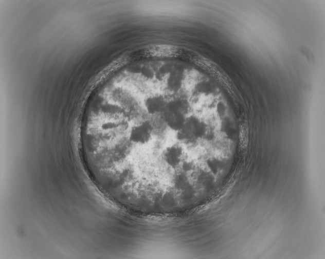 X0000111640725200908281156