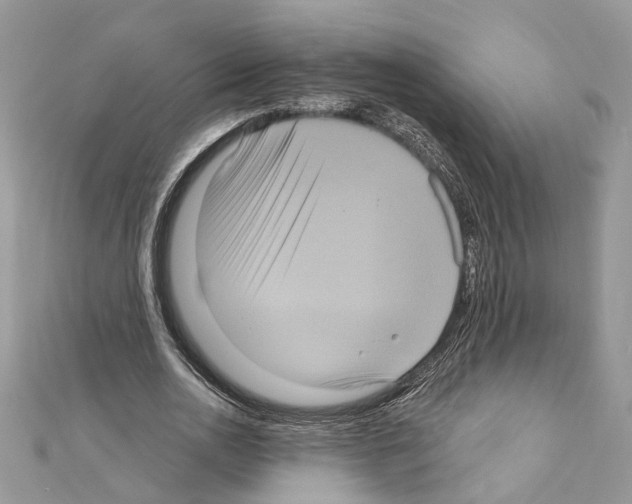 X0000111640726200908281156