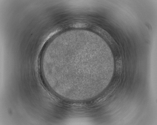 X0000111640727200908281156