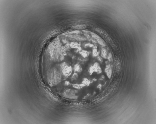 X0000111640729200908281157