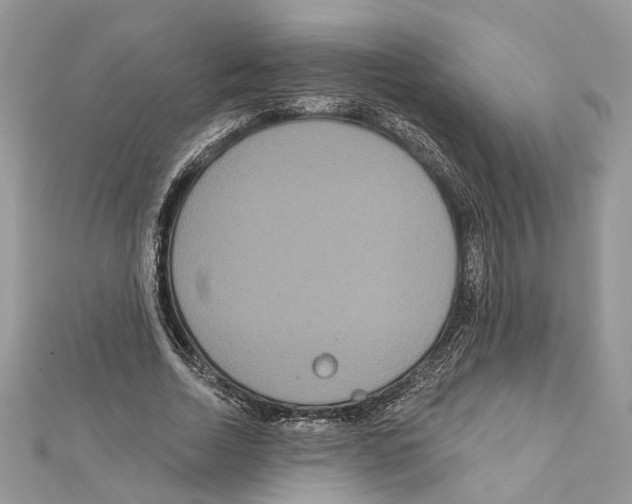 X0000111640730200908281157