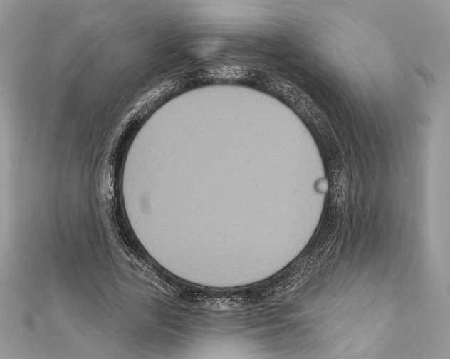 X0000111640731200908281157