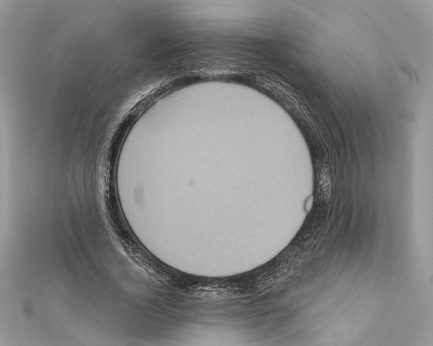 X0000111640732200908281157