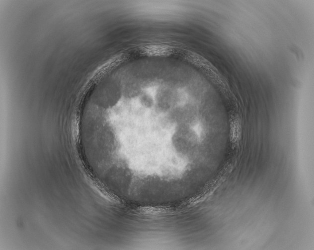 X0000111640733200908281157
