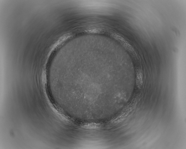 X0000111640734200908281157