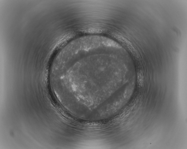 X0000111640735200908281157