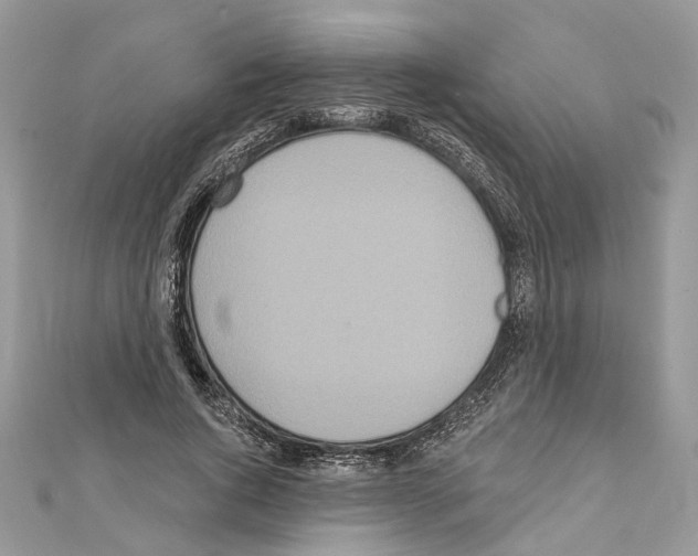 X0000111640736200908281157