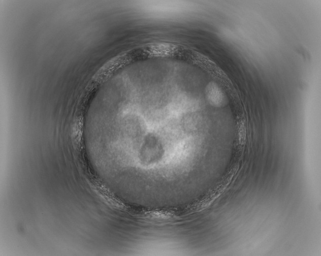 X0000111640737200908281157