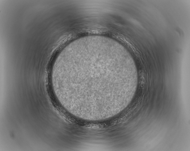 X0000111640738200908281157