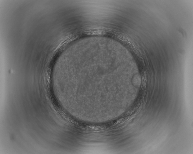 X0000111640739200908281157