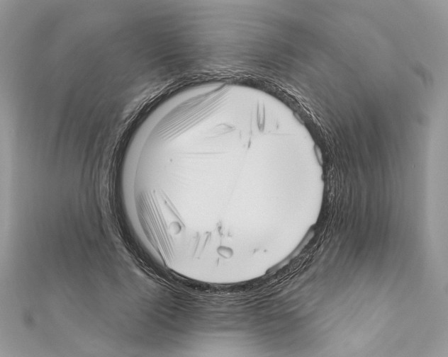 X0000111640740200908281157