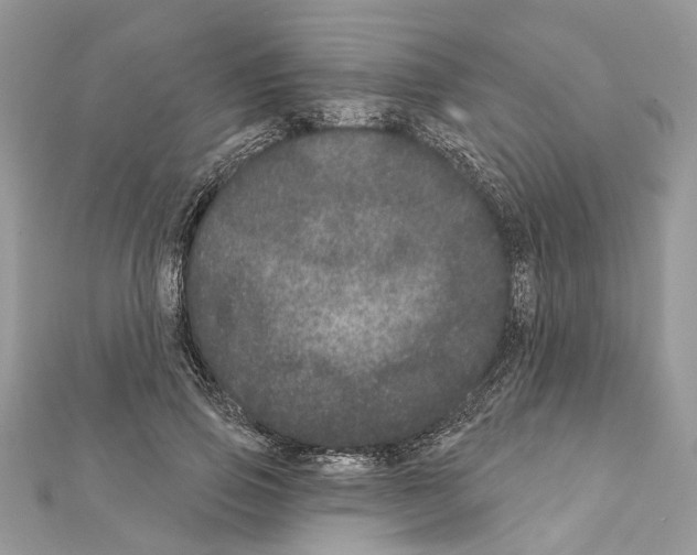 X0000111640741200908281157
