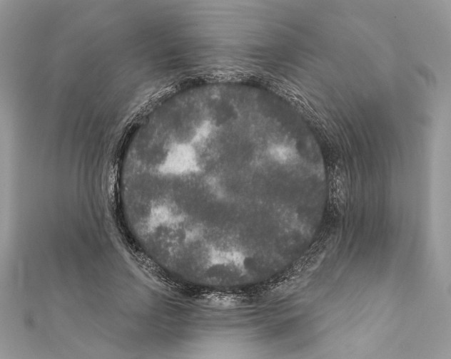 X0000111640742200908281157
