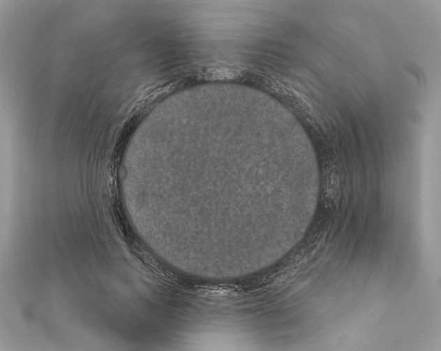X0000111640743200908281157