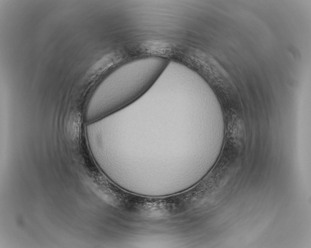 X0000111640744200908281157
