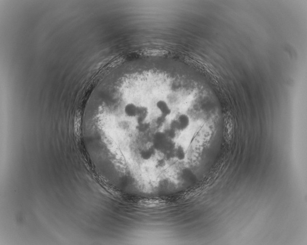 X0000111640745200908281157
