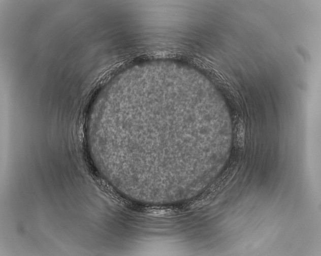 X0000111640746200908281157