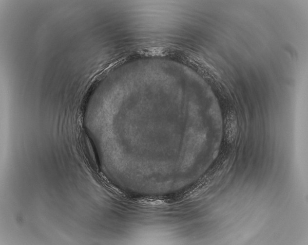 X0000111640747200908281157