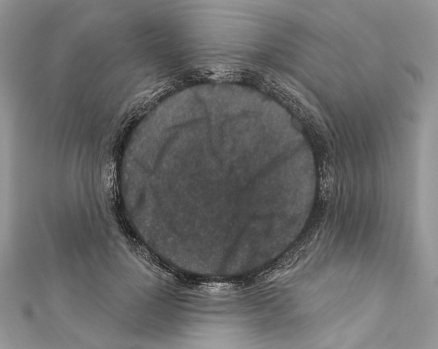 X0000111640748200908281157