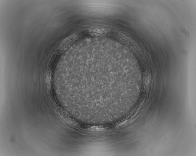 X0000111640749200908281157
