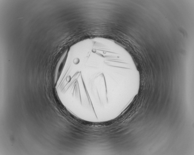 X0000111640751200908281157