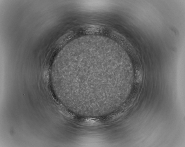 X0000111640753200908281157