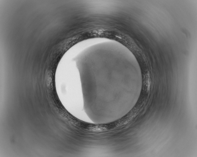 X0000111640754200908281157
