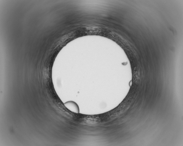 X0000111640756200908281157