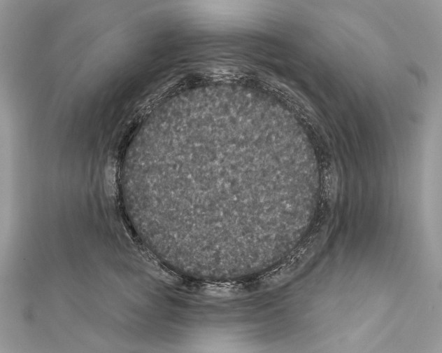 X0000111640757200908281157