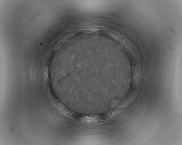 X0000111640758200908281157