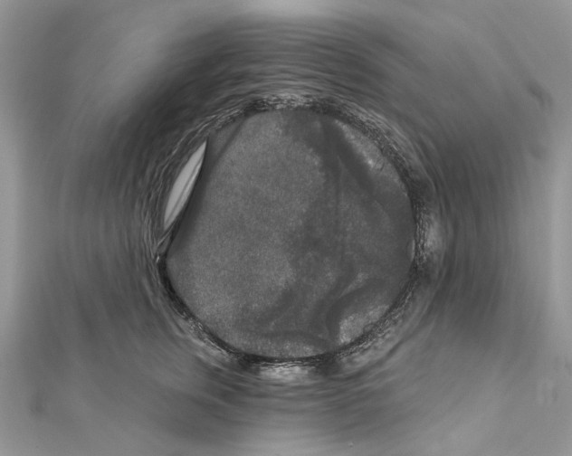 X0000111640759200908281157