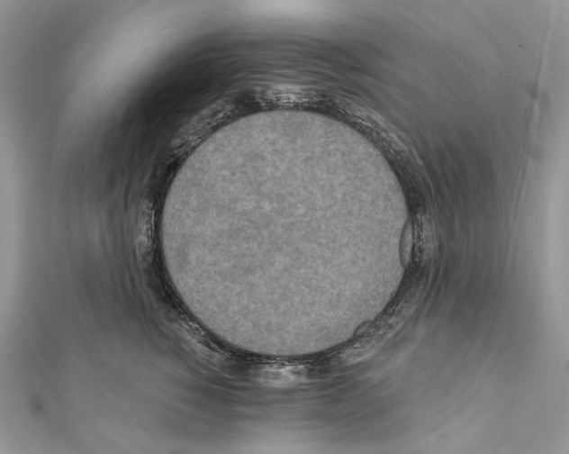 X0000111640760200908281157