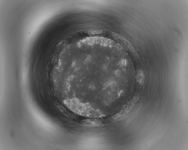 X0000111640763200908281157