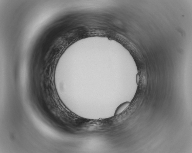 X0000111640764200908281157