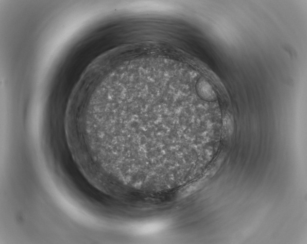 X0000111640765200908281157