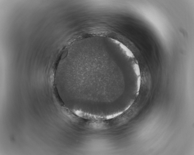 X0000111640767200908281157