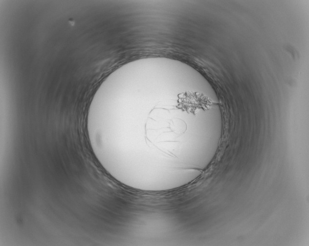 X0000111640768200908281157